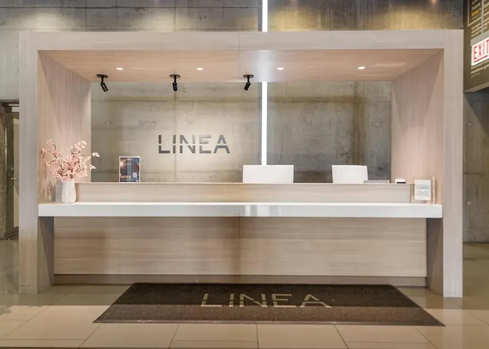 Apartment Linea Luxury Living With Indoor Pool And Rooftop Views In The Loop Chicago